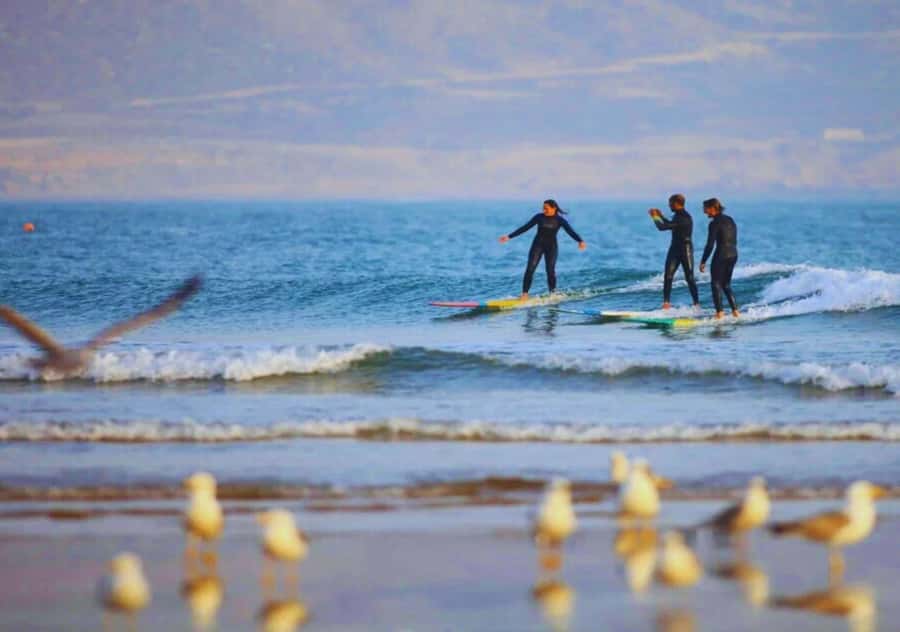 Surf Training and Lunch on Essaouira Day Trip from Marrakech - Is the $70 price good value?