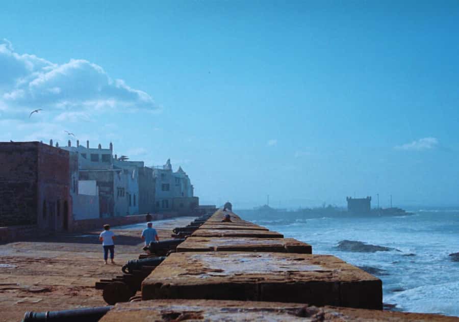 Surf Training and Lunch on Essaouira Day Trip from Marrakech - Who should book this day trip?