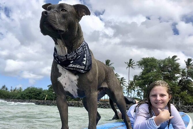 Surf with a Service Animal - Why Church changes the usual Maui surf lesson