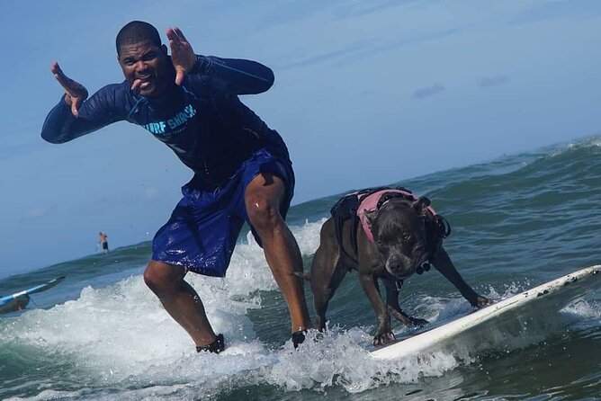 Surf with a Service Animal - What to bring and what the equipment means