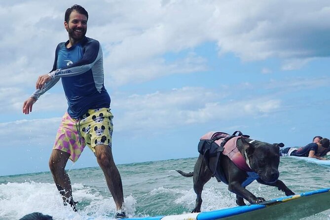 Surf with a Service Animal - The best fit for beginners, couples, and dog lovers