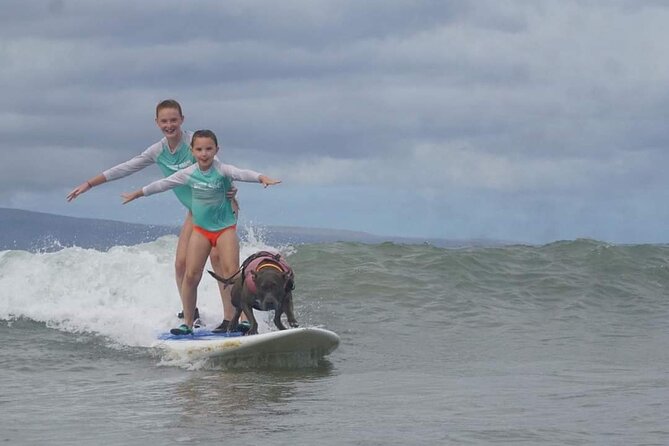 Surf with a Service Animal - The main drawback: timing and weather