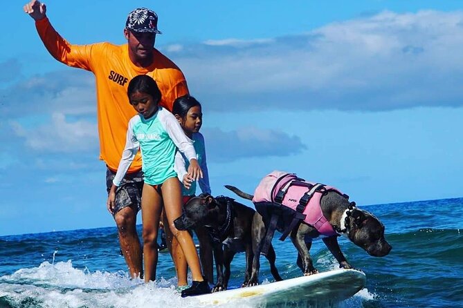 Surf with a Service Animal - How much surfing can you expect in 1 hour 45 minutes?
