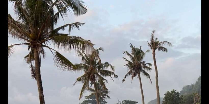 SURFA BALI curated surf lesson + trip to spots (Beg. & Int.) - Days two and three: from balance to riding