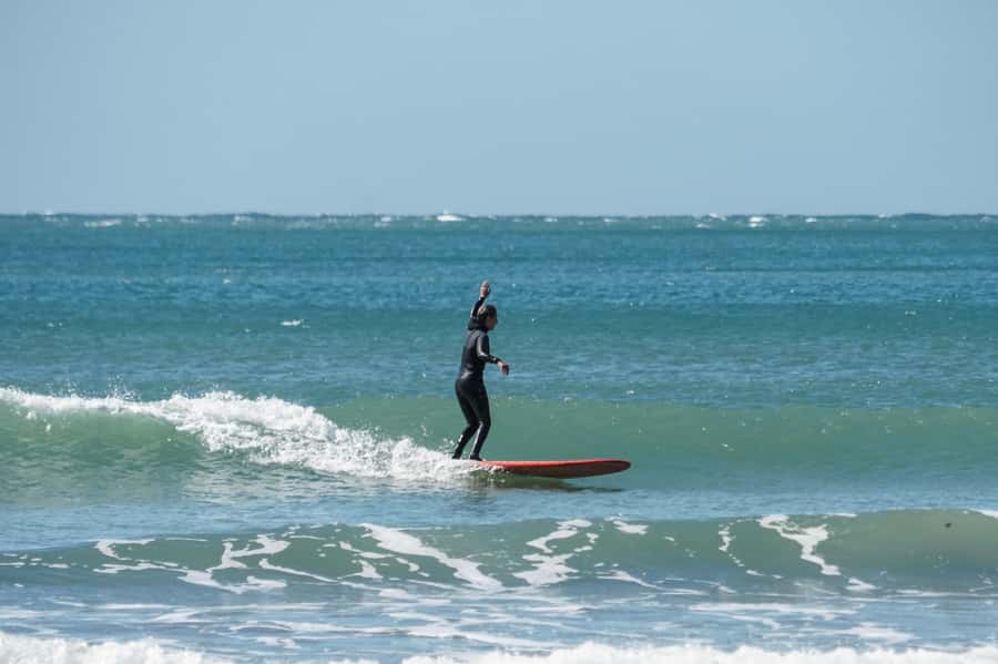 Surfing Lesson with Sea Wolf - Key points to know