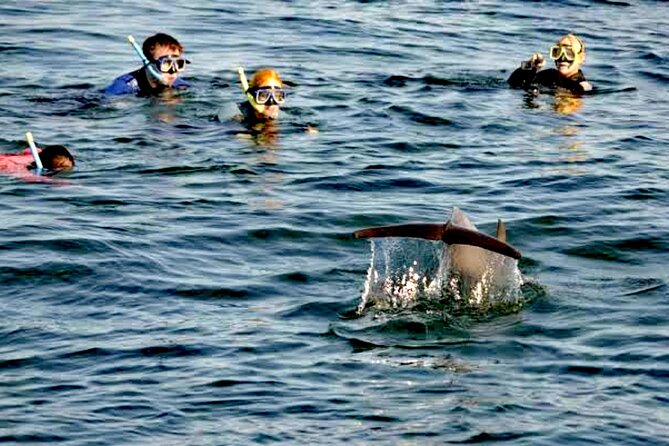 Swim and Paddle Board with Wild Dolphin Pods in Puerto Vallarta - Food, drinks, and comfort details
