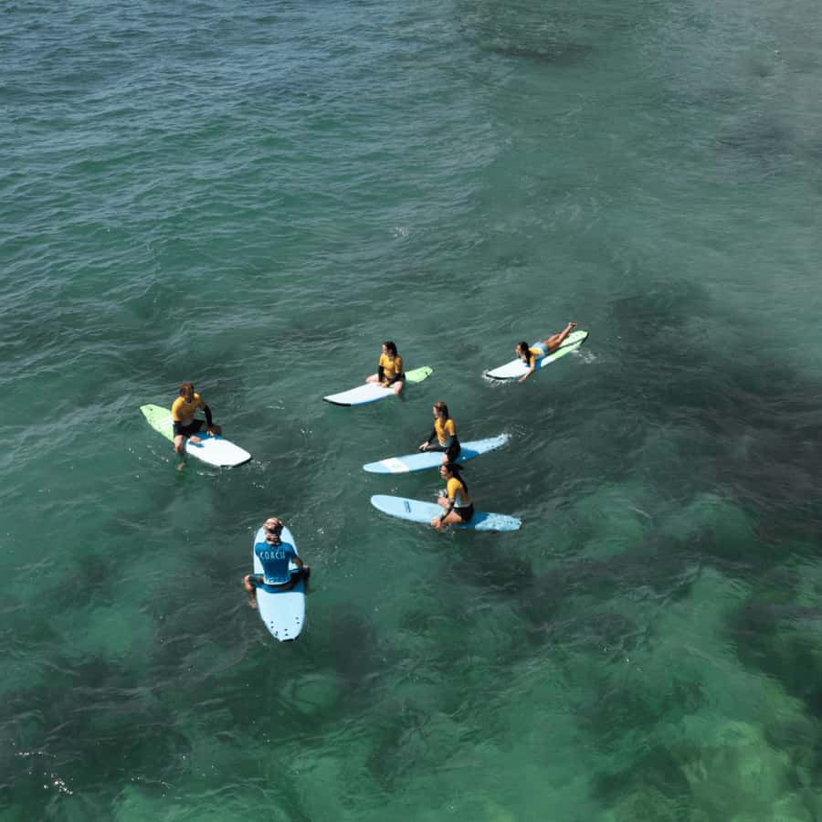 Sydney: Dee Why Beach Group Surfing Lesson - Practical details before you book
