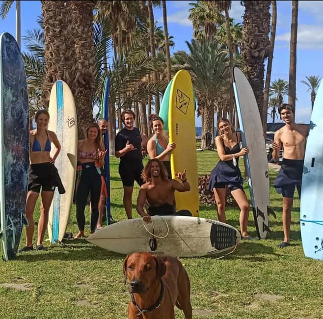 Tenerife: Paddle Surf Experience in Playa de las Américas - Starting by the Tourism Office in Playa de las Américas