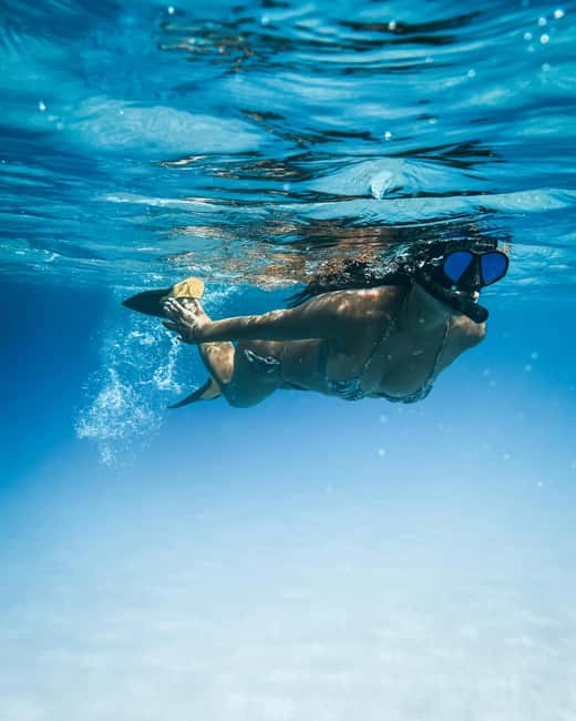 Tenerife: Paddle Surf Experience in Playa de las Américas - What the $41 price really covers