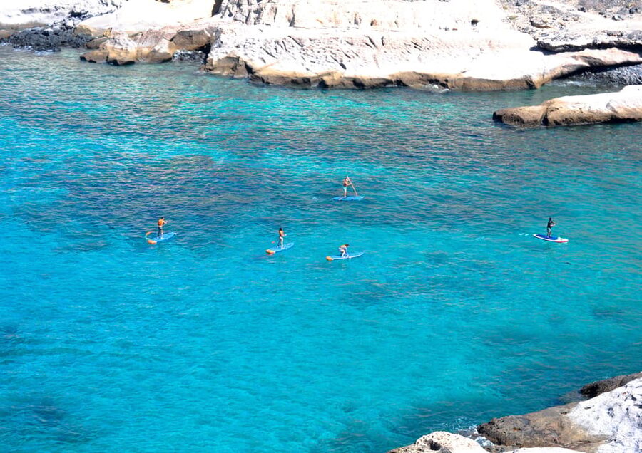 TENERIFE SUR | unforgettable SUP - SNORKELING EXPERIENCE - Who will enjoy this most
