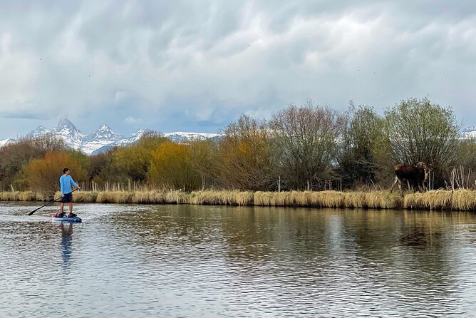 Teton River Paddleboard Adventure - 4.5 Miles - Wildlife is a bonus, not the whole plan