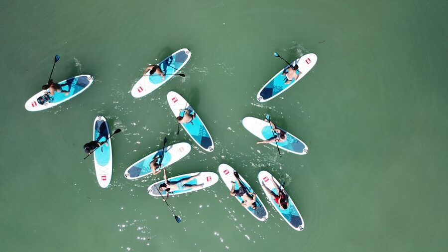 Tihany: SUP Course and Tour at Lake Balaton - The simulator lesson before you touch the lake
