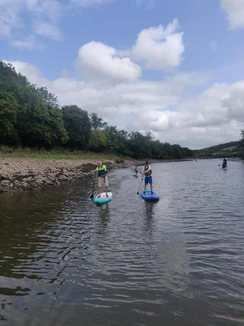 Totnes: Paddleboard adventure on the River Dart - Why this stretch of the River Dart works so well