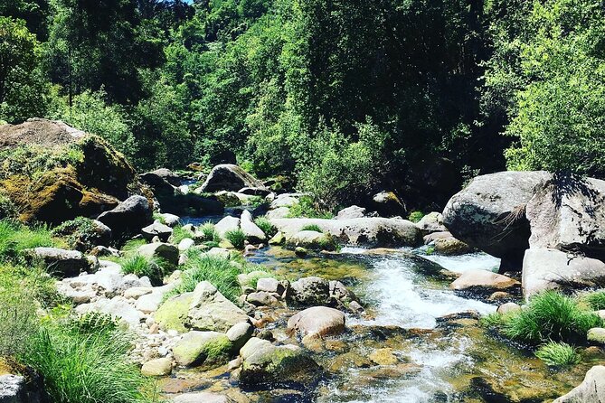 Tour to Gerês in 4x4 full day with option of SUP Tour - Key points to know before booking