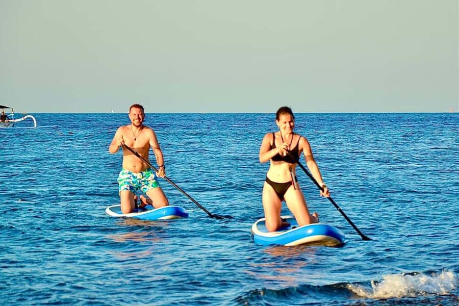 Transparent kayak and stand up paddle rental - Coral, fish, and the chance of seeing turtles