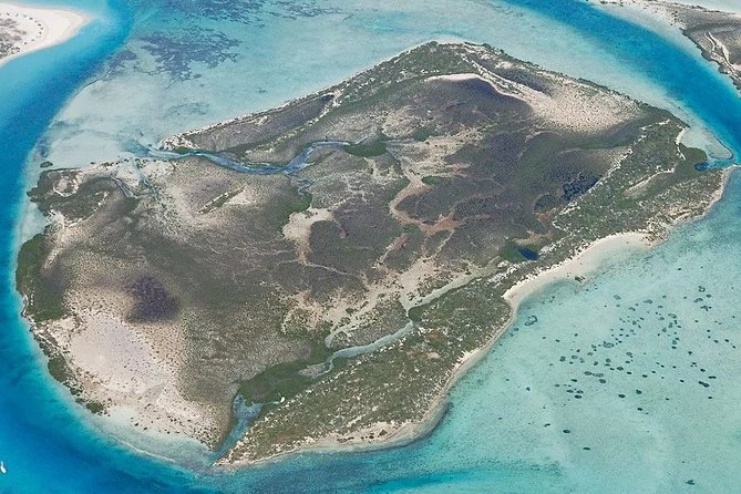 Turtle Eco Tour on Stand-Up Paddleboards or Kayaks into the National Marine Park - Who will enjoy it most