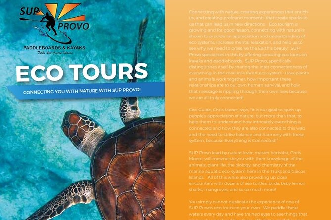 Turtle Eco Tour on Stand-Up Paddleboards or Kayaks into the National Marine Park - Choosing between the 12-foot SUP and a kayak