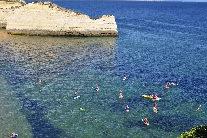 Unique Stand Up Paddle Experience! - How the price compares with a simple rental