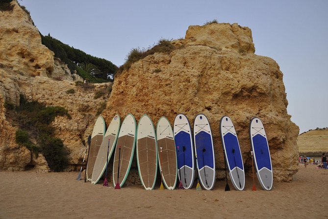 Unique Stand Up Paddle Experience! - Timing, transport, and cancellation details