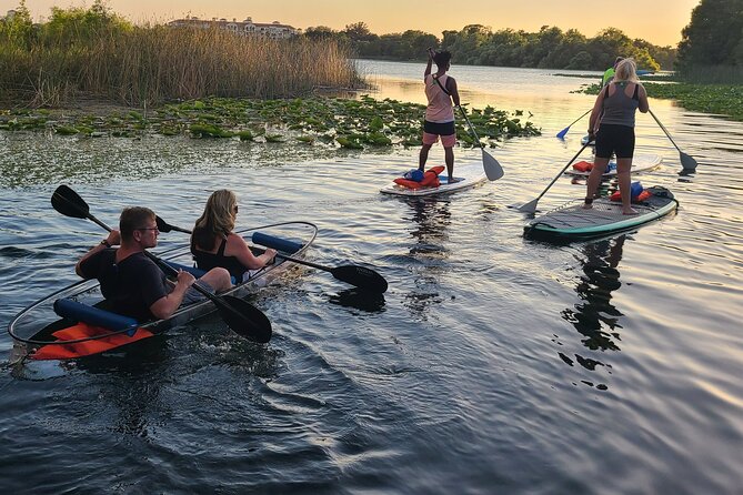 Urban Clear Kayak or Paddleboard in Paradise: Morning/Night - Choosing between a clear board and a kayak