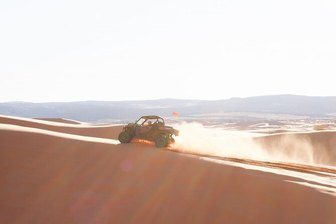 UTV Dune Cruise and Surf at Coral Pink Sand Dunes - Key reasons to consider this Coral Pink Sand Dunes tour
