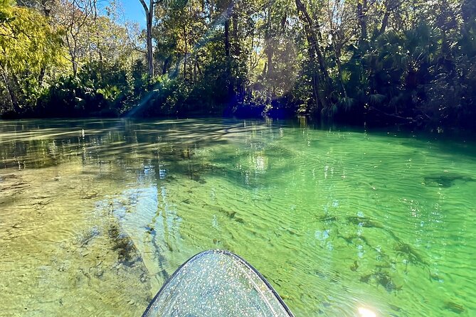 Weeki Wachee Clear Paddle Board Ecotours - Key things to know before you book