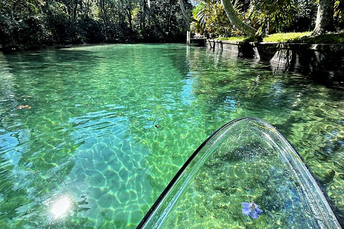 Weeki Wachee Clear Paddle Board Ecotours - Guides who make the difference