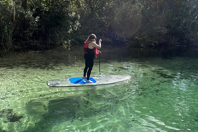 Weeki Wachee Clear Paddle Board Ecotours - What the two hours feel like