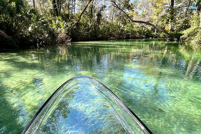 Weeki Wachee Clear Paddle Board Ecotours - What is included, and what you should bring
