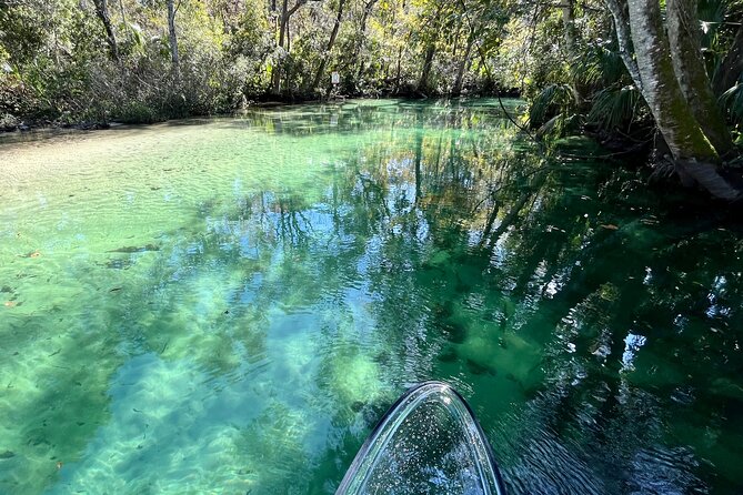 Weeki Wachee Clear Paddle Board Ecotours - How much value do you get for $90?