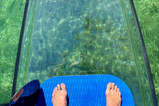 Weeki Wachee Clear Paddle Board Ecotours - The main drawbacks to consider