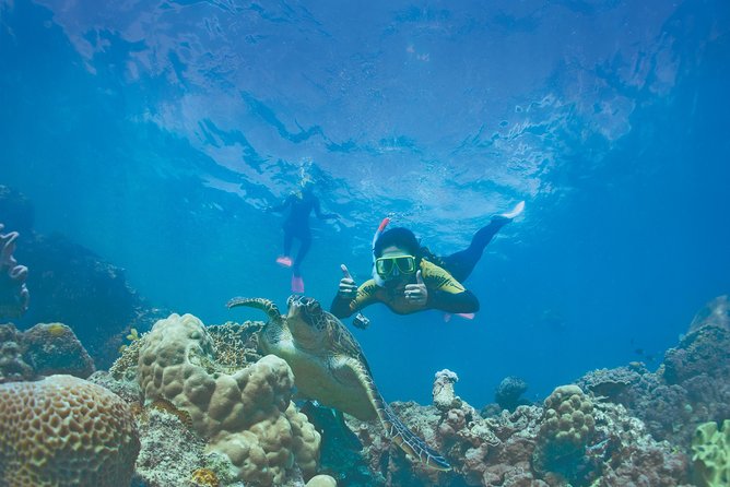 Whitsunday Islands Sail, SUP & Snorkel Tour- Small group - A relaxed start from Coral Sea Marina