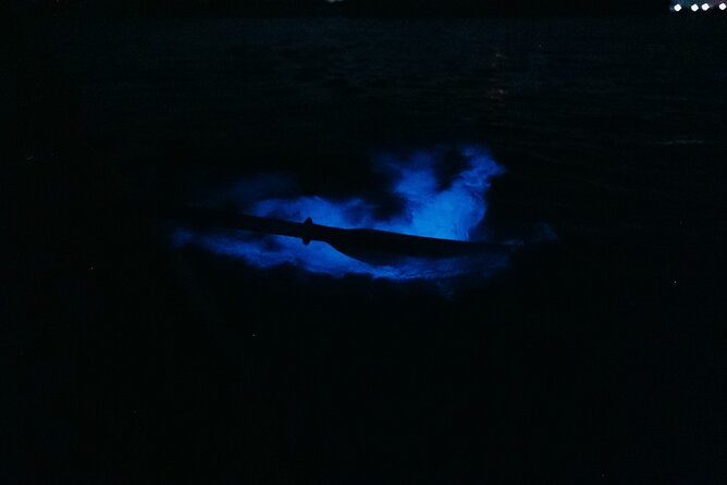 Wildlife Refuge Bioluminescent Kayak or Paddleboard Tour! - Why the water glows at Cocoa Beach