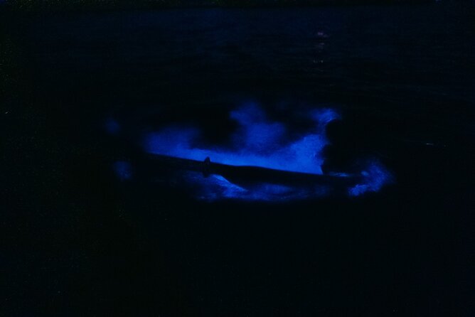 Wildlife Refuge Bioluminescent Kayak or Paddleboard Tour! - The glowing paddle through the night