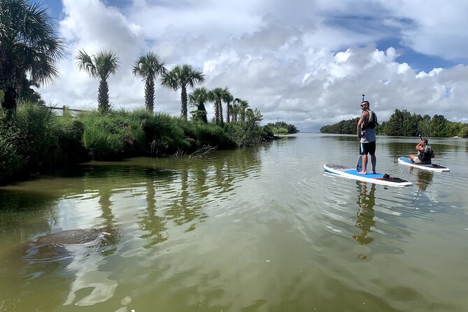 Wildlife Refuge Dolphin, Manatee & Mangrove Kayak or Paddleboarding Tour! - A sunset paddle at Haulover Canal