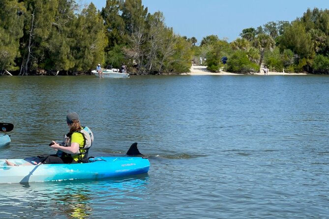 Wildlife Refuge Dolphin, Manatee & Mangrove Kayak or Paddleboarding Tour! - What to bring for comfort