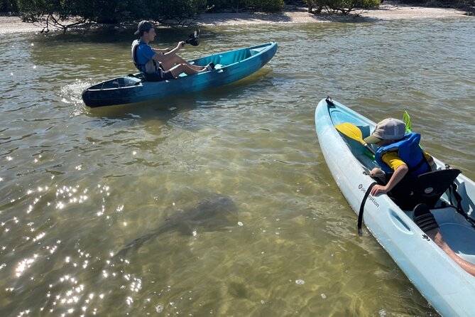 Wildlife Refuge Dolphin, Manatee & Mangrove Kayak or Paddleboarding Tour! - Price and value at $50