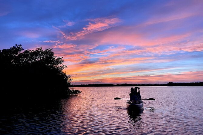 Wildlife Refuge Dolphin, Manatee & Mangrove Kayak or Paddleboarding Tour! - Why the guide matters on a short tour