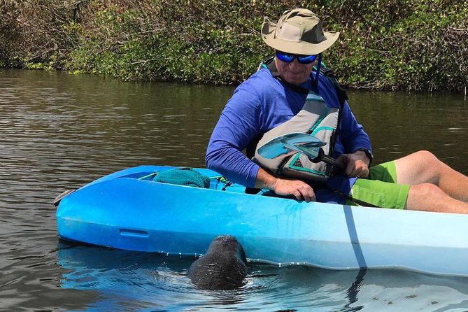 Wildlife Refuge Manatee, Dolphin & Mangrove Kayak or Paddleboarding Tour! - Mangrove paths and smaller creatures