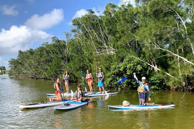 Wildlife Refuge Manatee, Dolphin & Mangrove Kayak or Paddleboarding Tour! - Birds, alligators, and the value of patience
