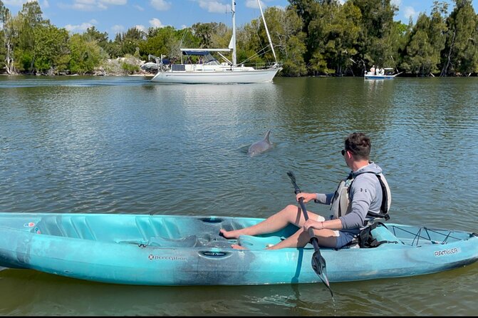 Wildlife Refuge Sunset Dolphin, Manatee & Mangrove Kayak or Paddleboarding Tour! - Sunset from the water