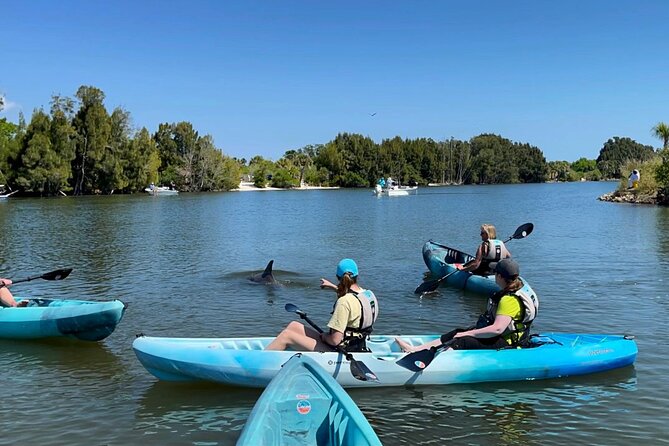 Wildlife Refuge Sunset Dolphin, Manatee & Mangrove Kayak or Paddleboarding Tour! - Searching for dolphins and manatees