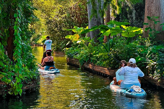 Winter Park Paddle Board Tour - Watching for Florida wildlife