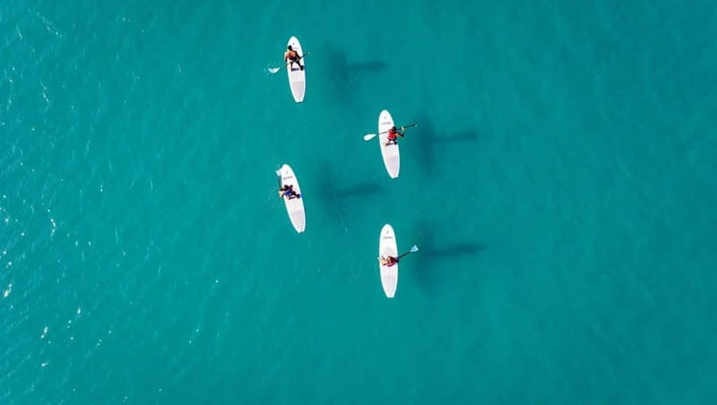 WWF TOUR alla Riserva Naturale di Torre Salsa in SUP - The short SUP lesson before you set off